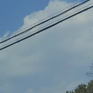 Profile image of 토미카 유카