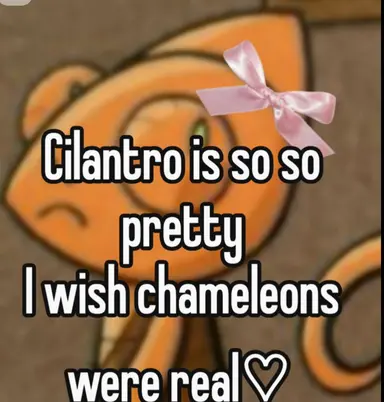 Profile image of Cilantro