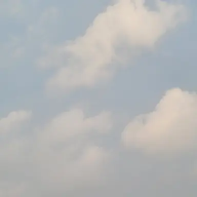 Profile image of 권지용