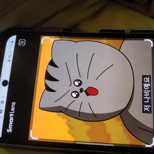 땅땅이