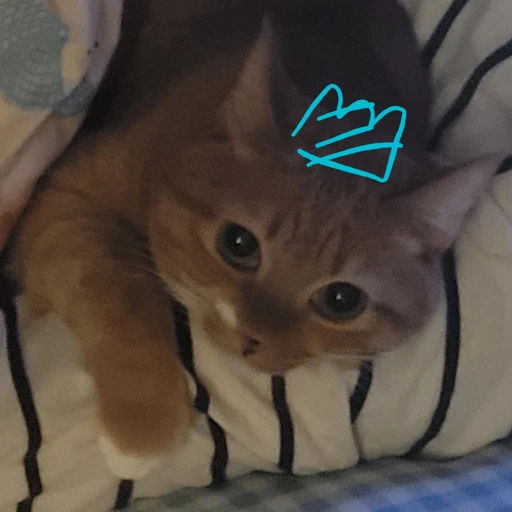 아