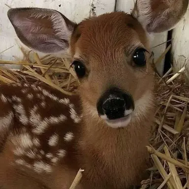 Profile image of 정성찬