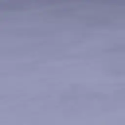 Profile image of 늑대