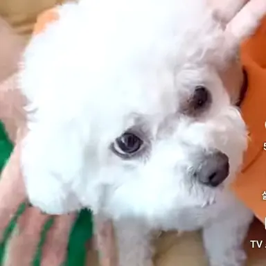 Profile image of 엄지