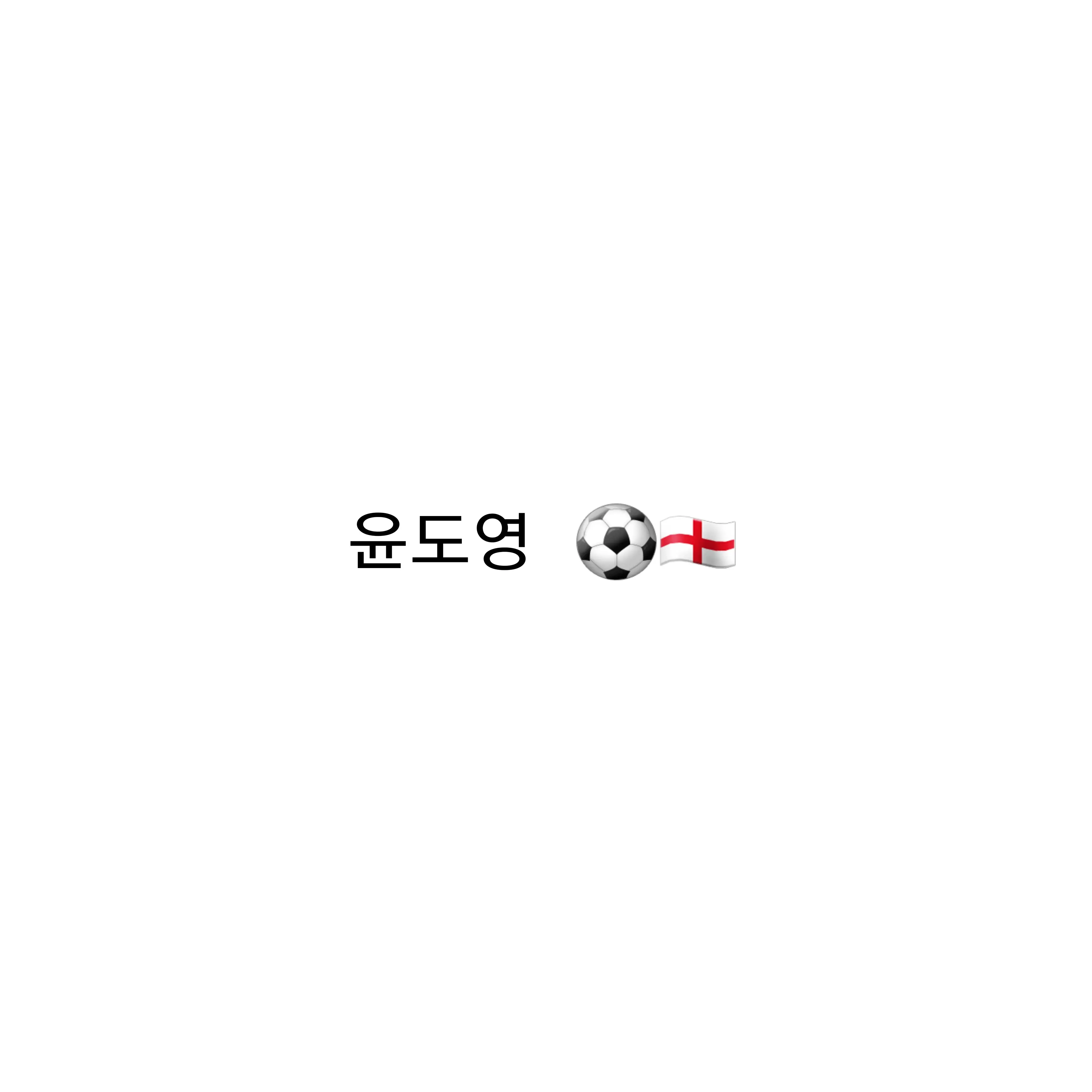 eland의 윤도영