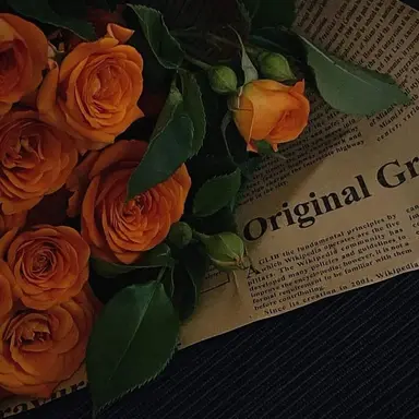 Profile image of 영환