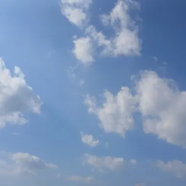 Profile image of 라더