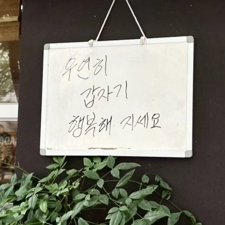 Look_의 강다겸