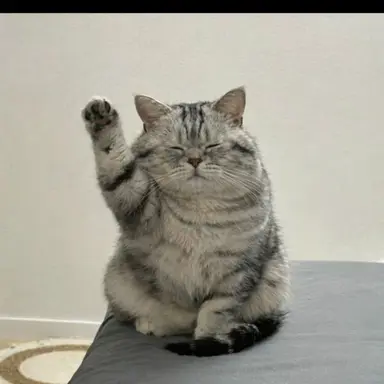 Profile image of 藤澤涼架