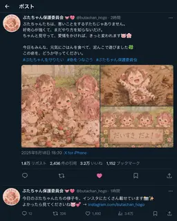 Profile image of ぶたちゃん保護委員会