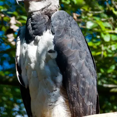 Profile image of Auto