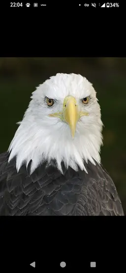 Profile image of Ou
