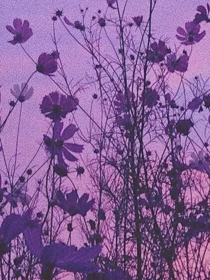 nea_2j3j의 ぱぱはどっちの？／fw