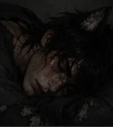 Profile image of Callan