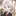 우하민