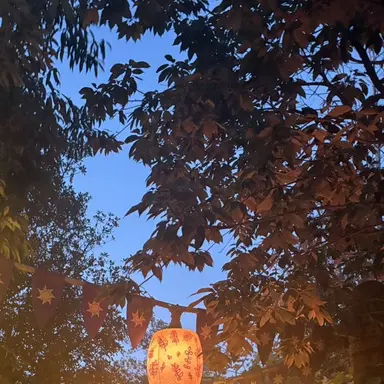 Profile image of りゅうへい