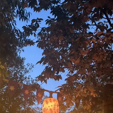 Profile image of しゅんと