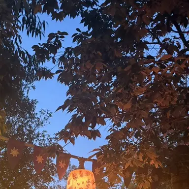 Profile image of じゅのん