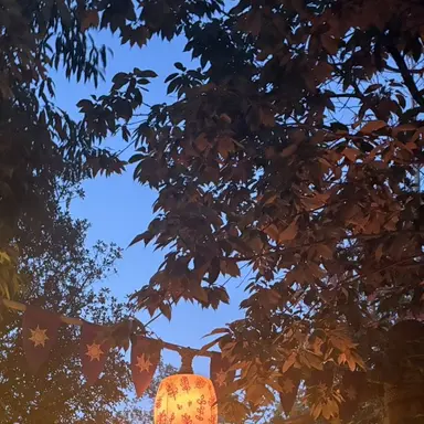 Profile image of まなと