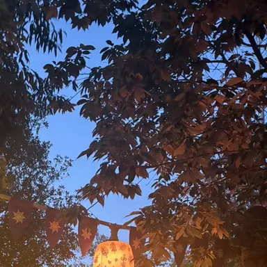 Profile image of れお