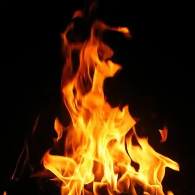 Profile image of 카터