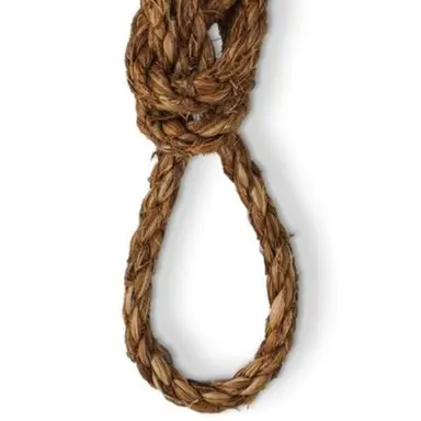 Profile image of 메리