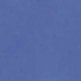 Profile image of タプ