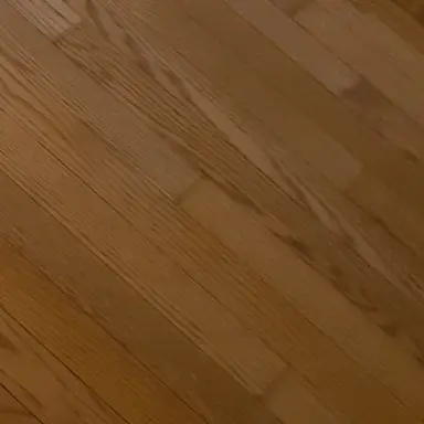 Profile image of 佐々木陽向