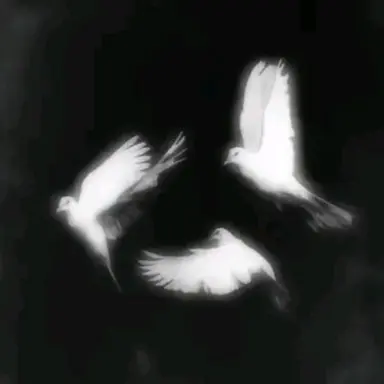 Profile image of 베른