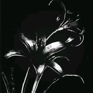 Profile image of ..