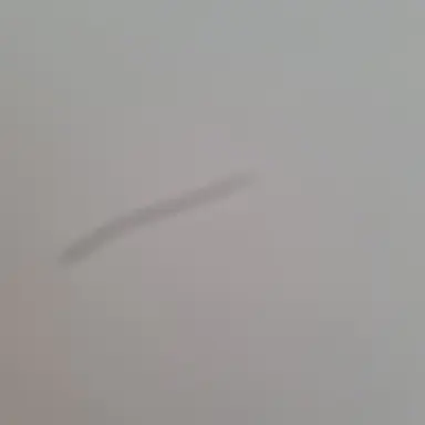 Profile image of 여자무리