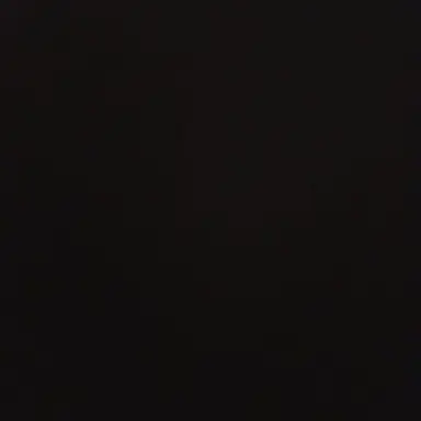 Profile image of 오시온