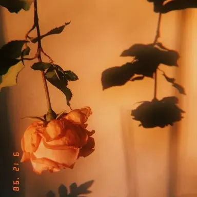 Profile image of 박영환