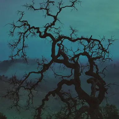 Profile image of 운터