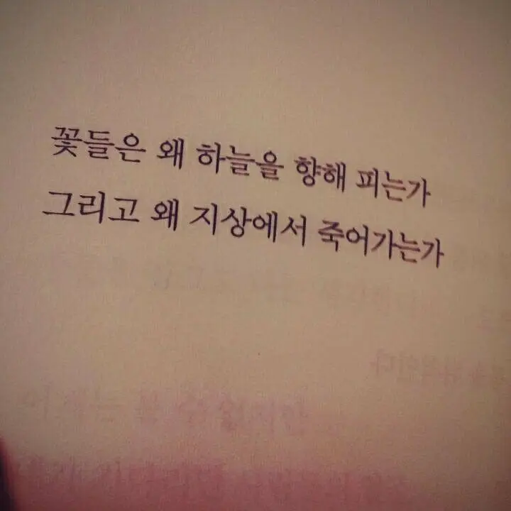 salvation_1의 바라볼수 없는