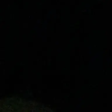 Profile image of 유시진