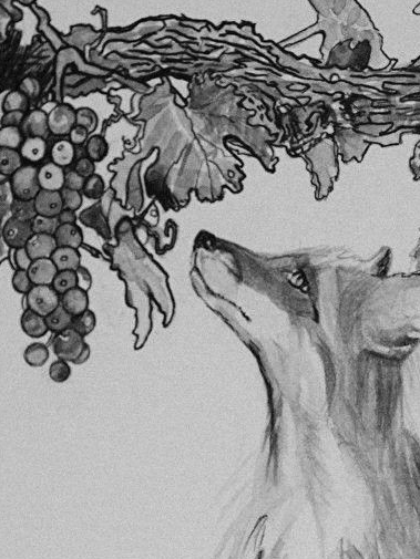 Sour grapes 대표 이미지