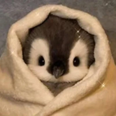 뿌띠