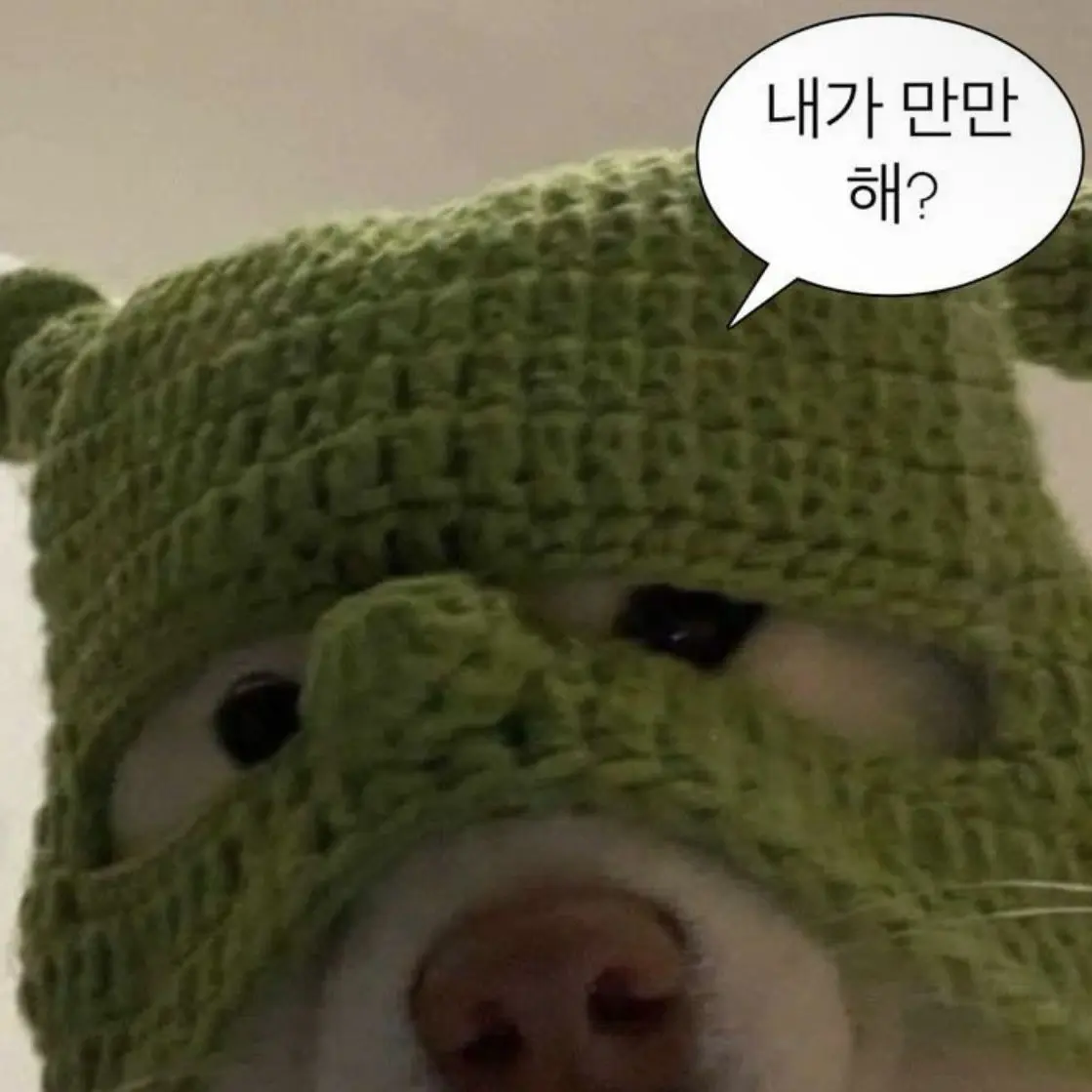 Sirang0607의 남친 096