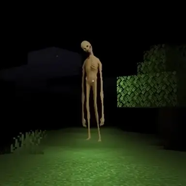 Profile image of Verity