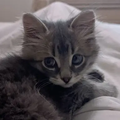Profile image of Jackie