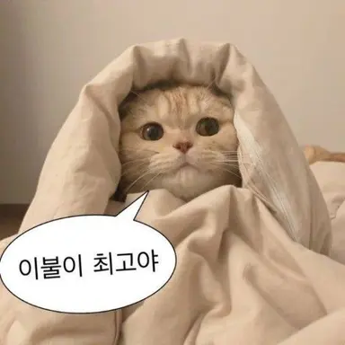 Profile image of 안현수