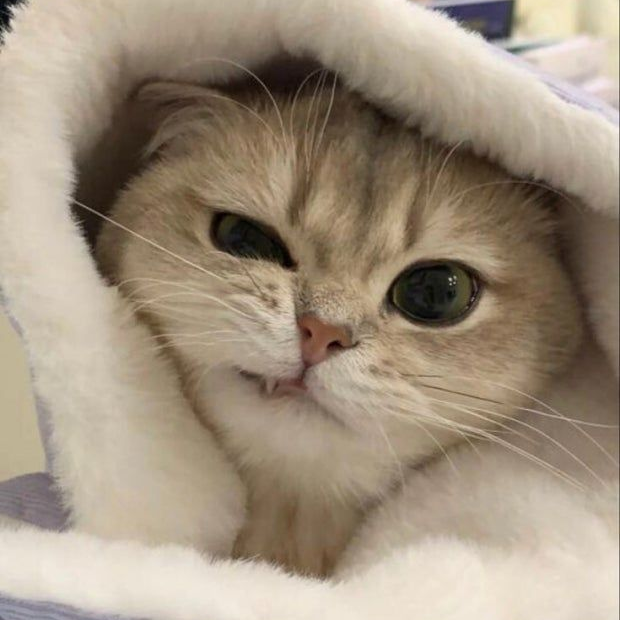 정해빈x안현수 대표 이미지