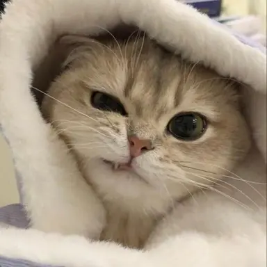 Profile image of 정해빈