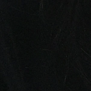 백이현