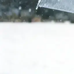 Profile image of 이샹햔