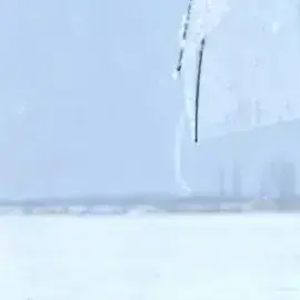 HerbalDebt2881의 남사친들이랑 여우 한명이랑찜질방