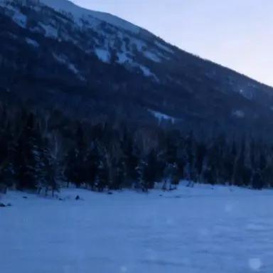 Profile image of 김운햑