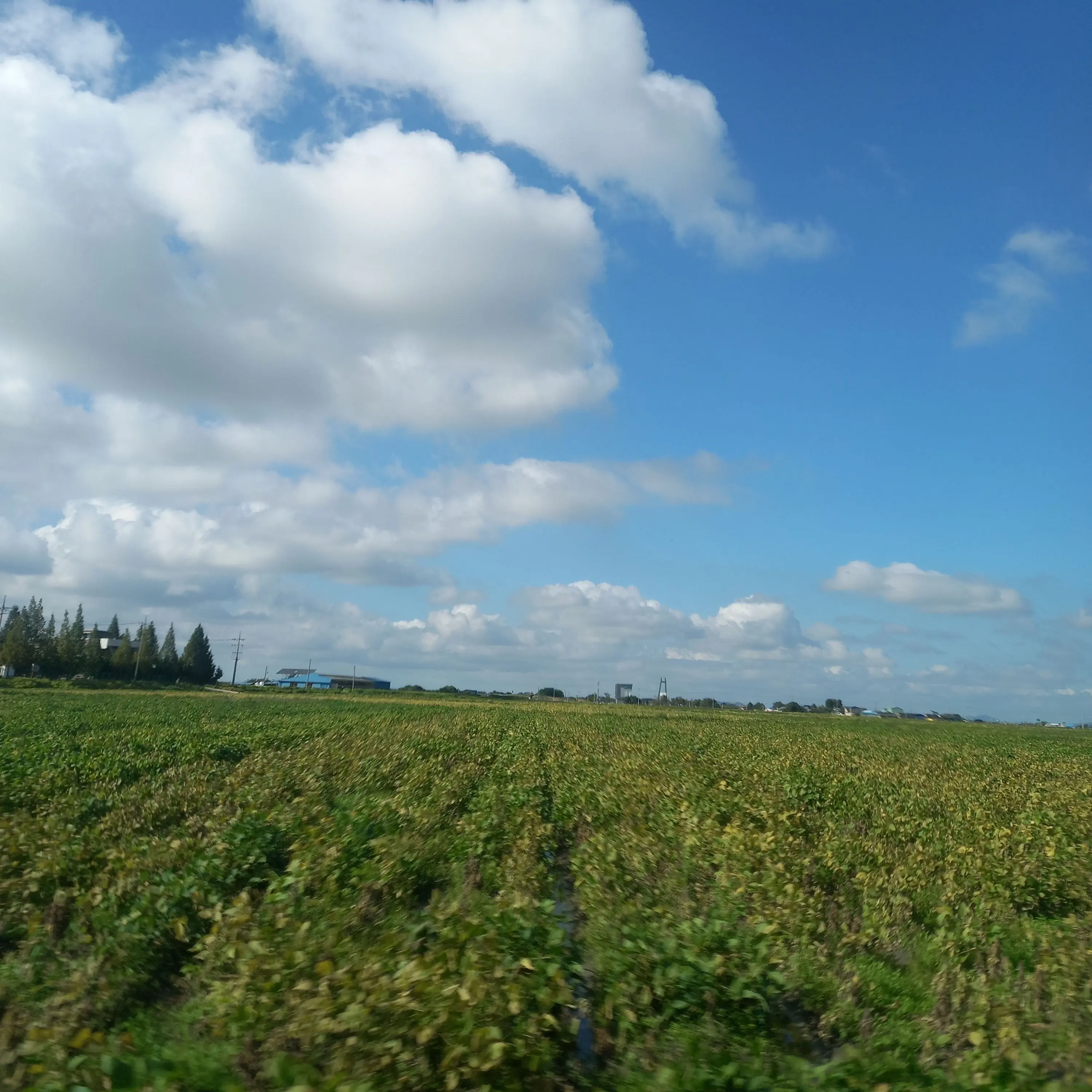 DryRobot7158의 걍 화나서 만든거