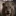 스카